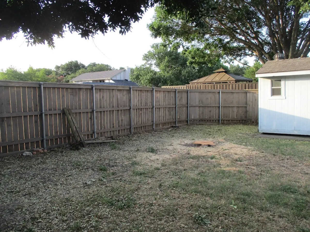 Cleared yard after professional tree removal in Magness
