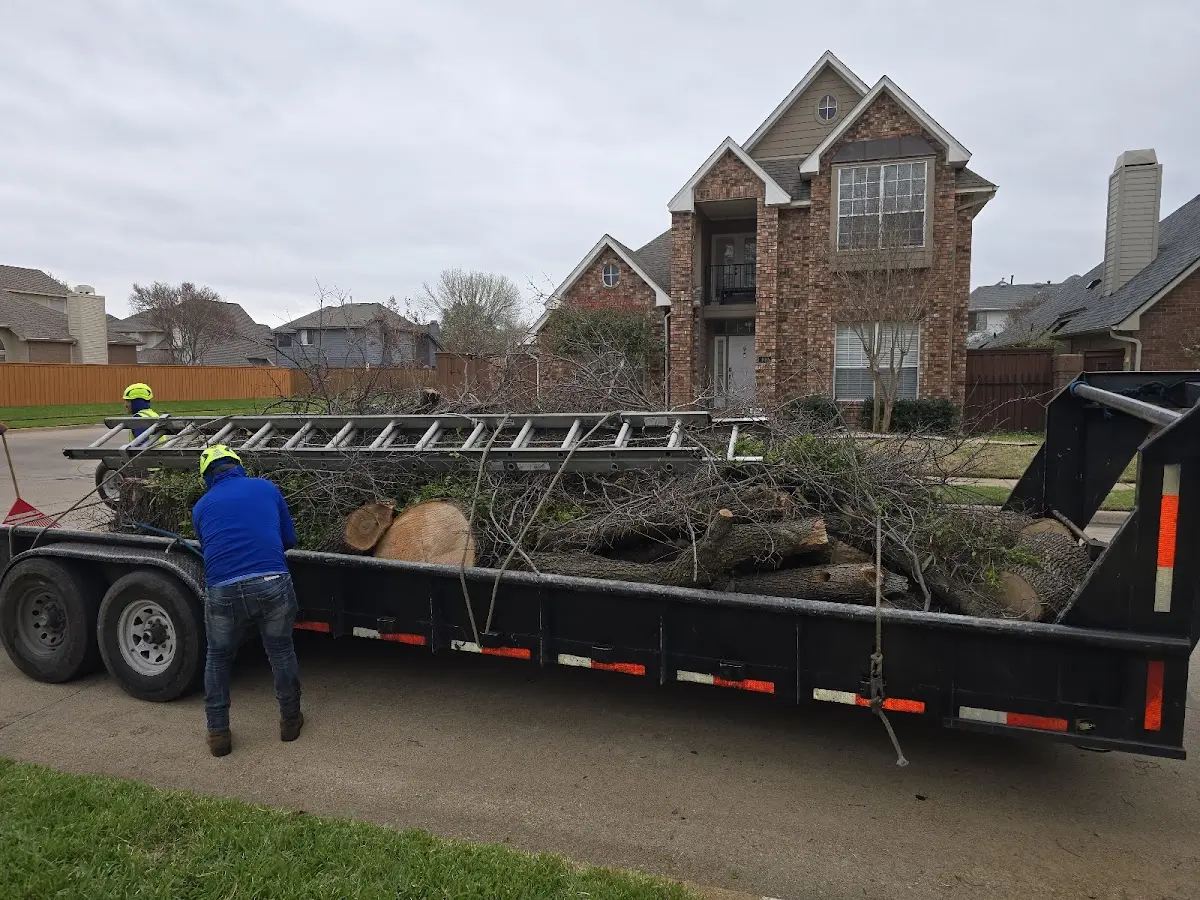 Expert Lot Clearing with proper safety equipment in Magness